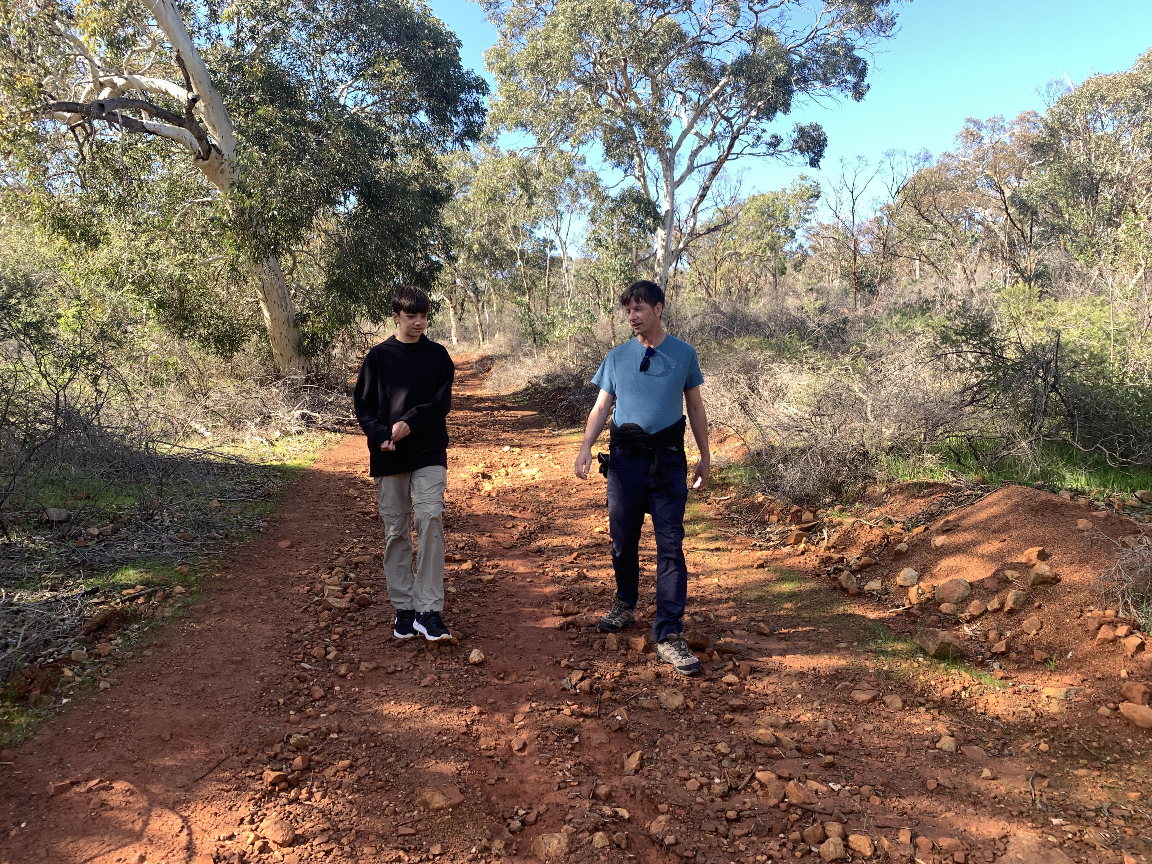 bush_walk_01.jpg