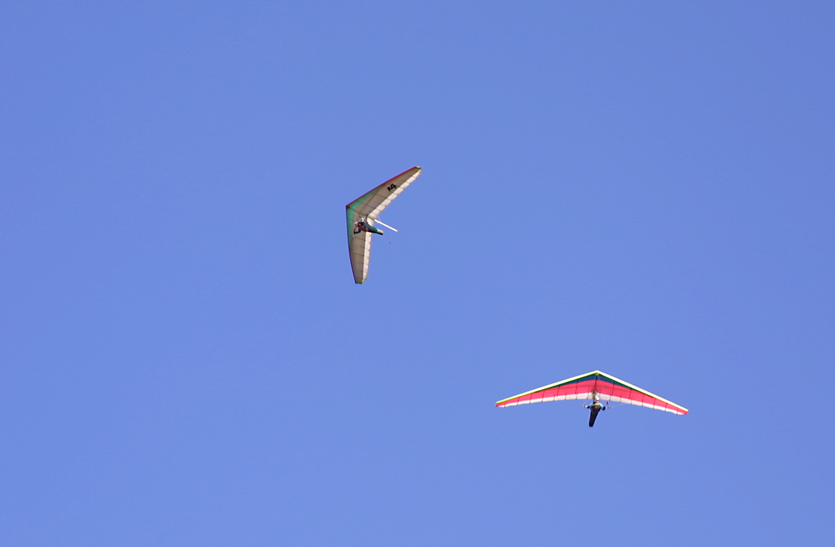 gliders01.jpg