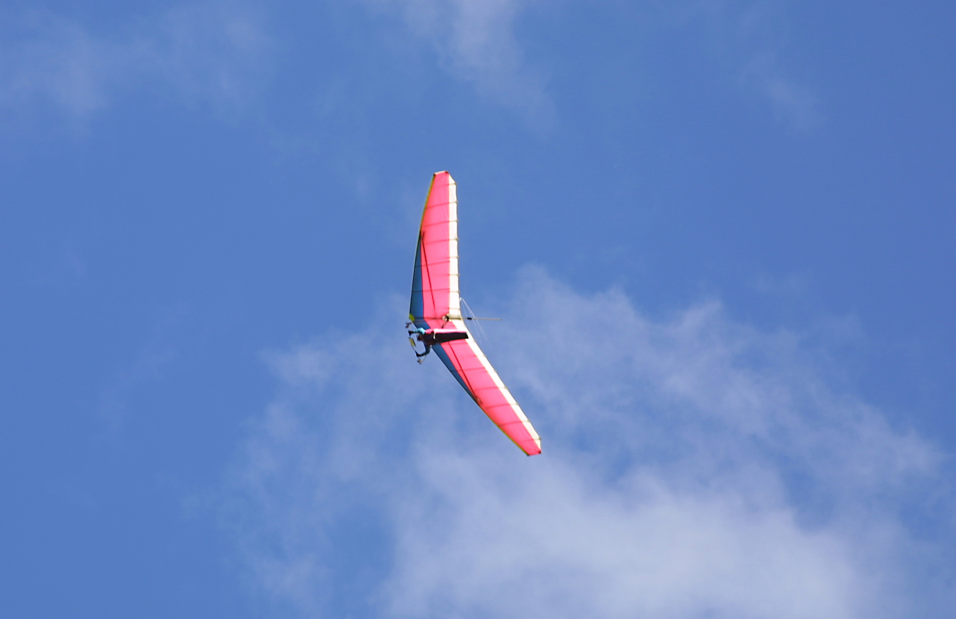 gliders02.jpg
