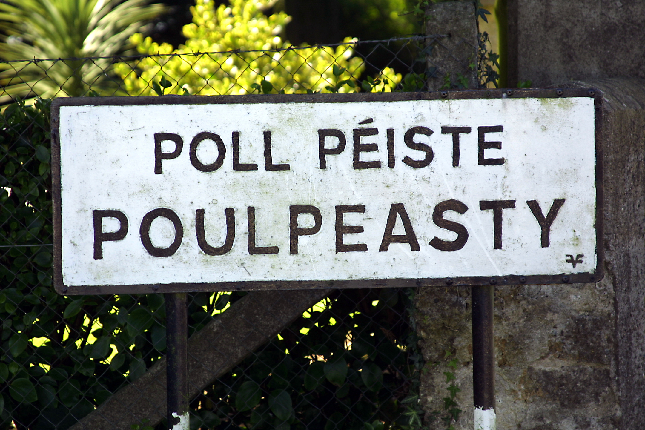 poulpeasty01.jpg