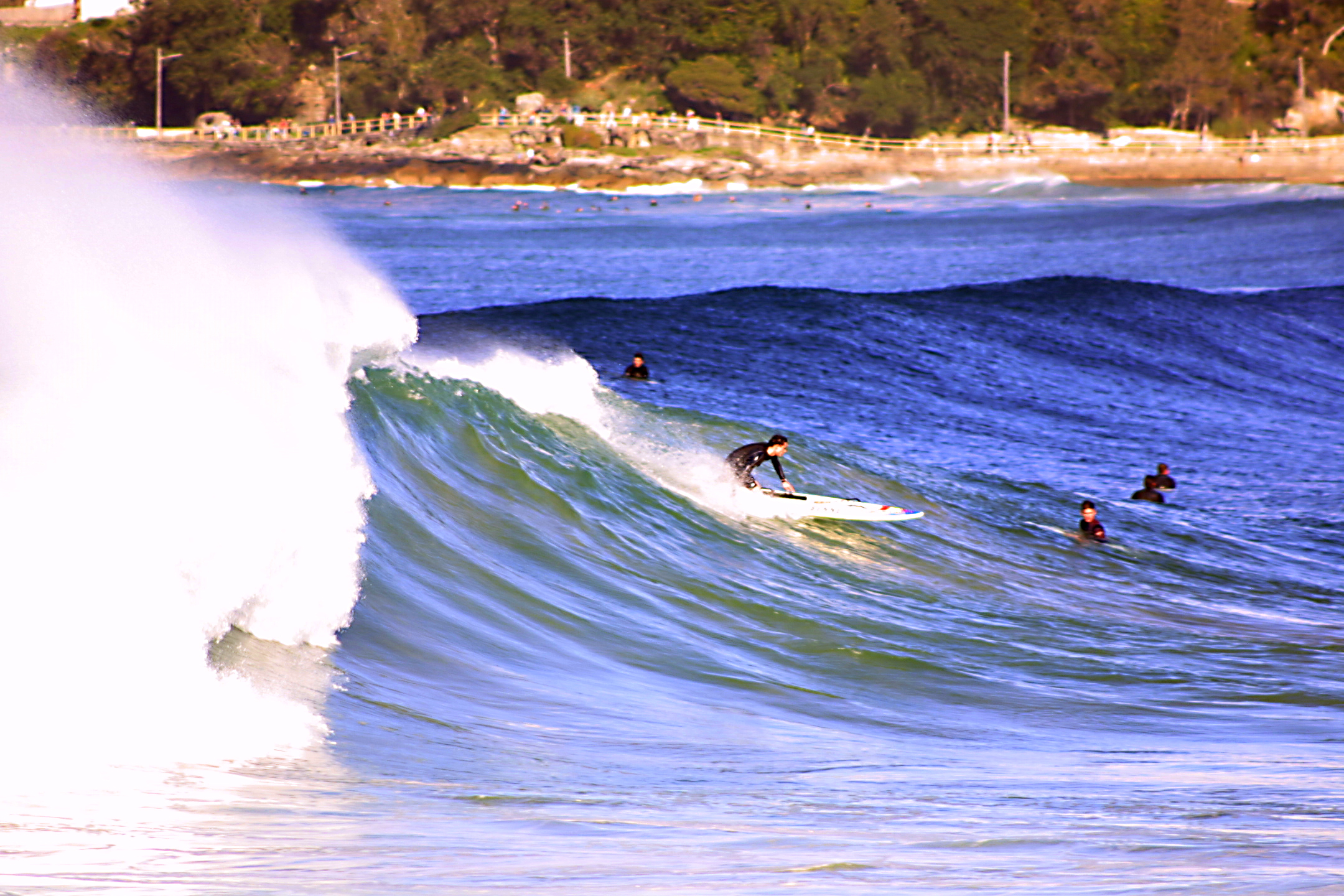 surf08.jpg
