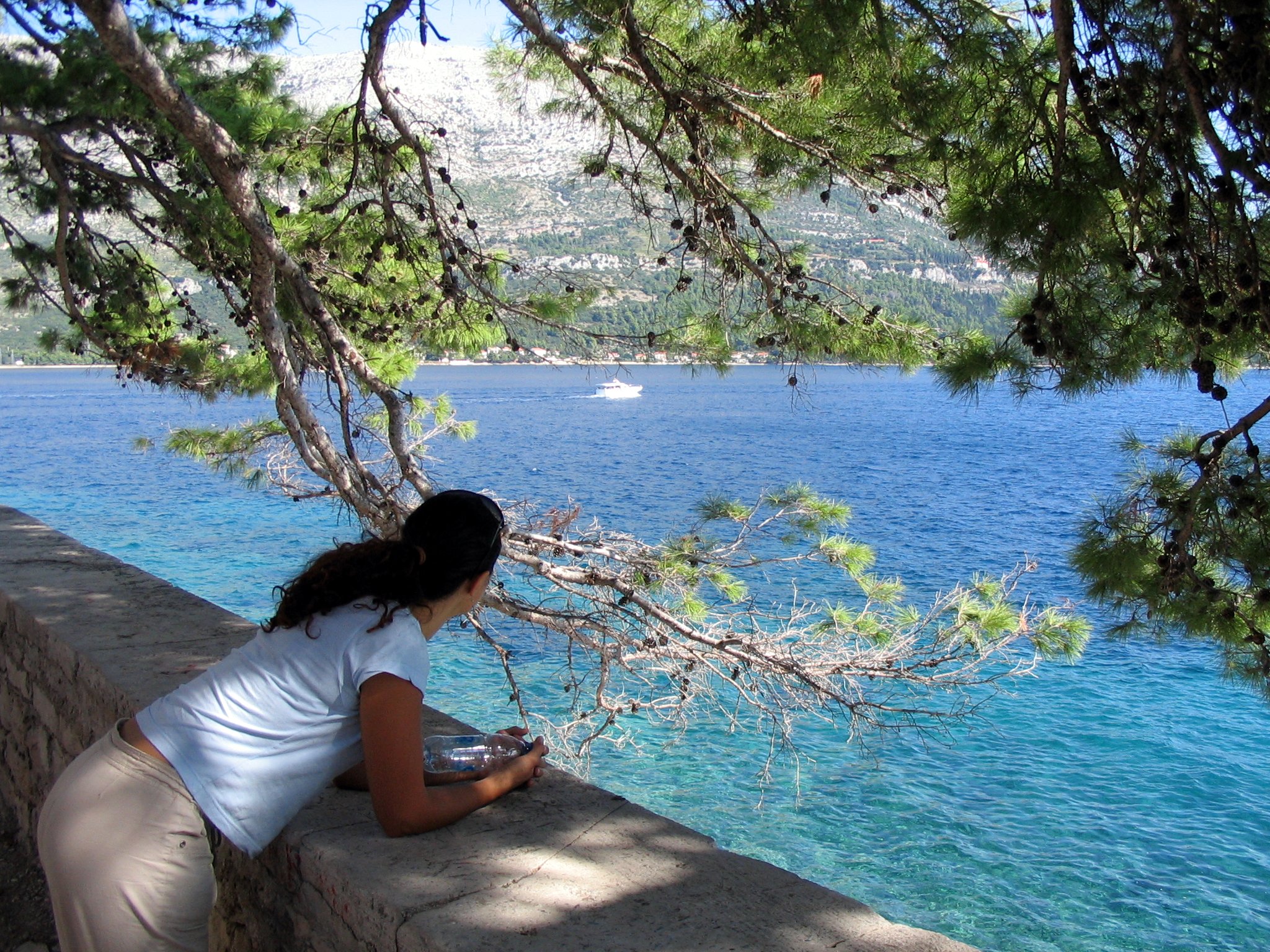 korcula08.jpg
