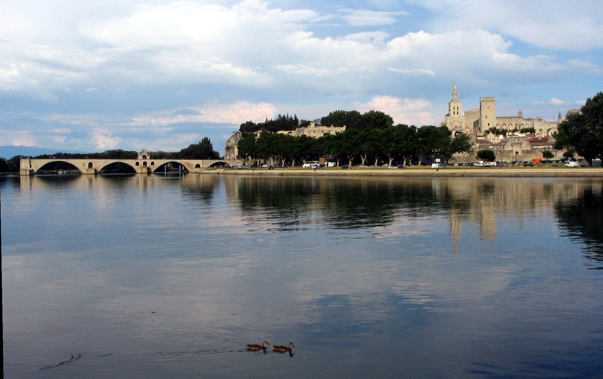 avignon01.jpg