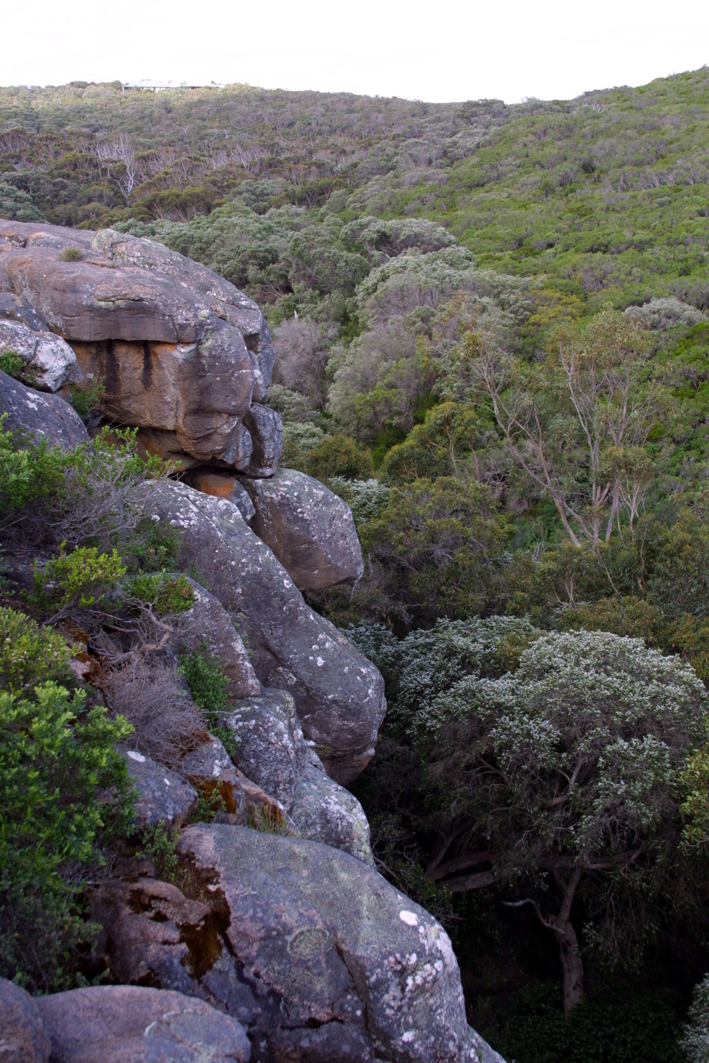 bushwalk04.jpg