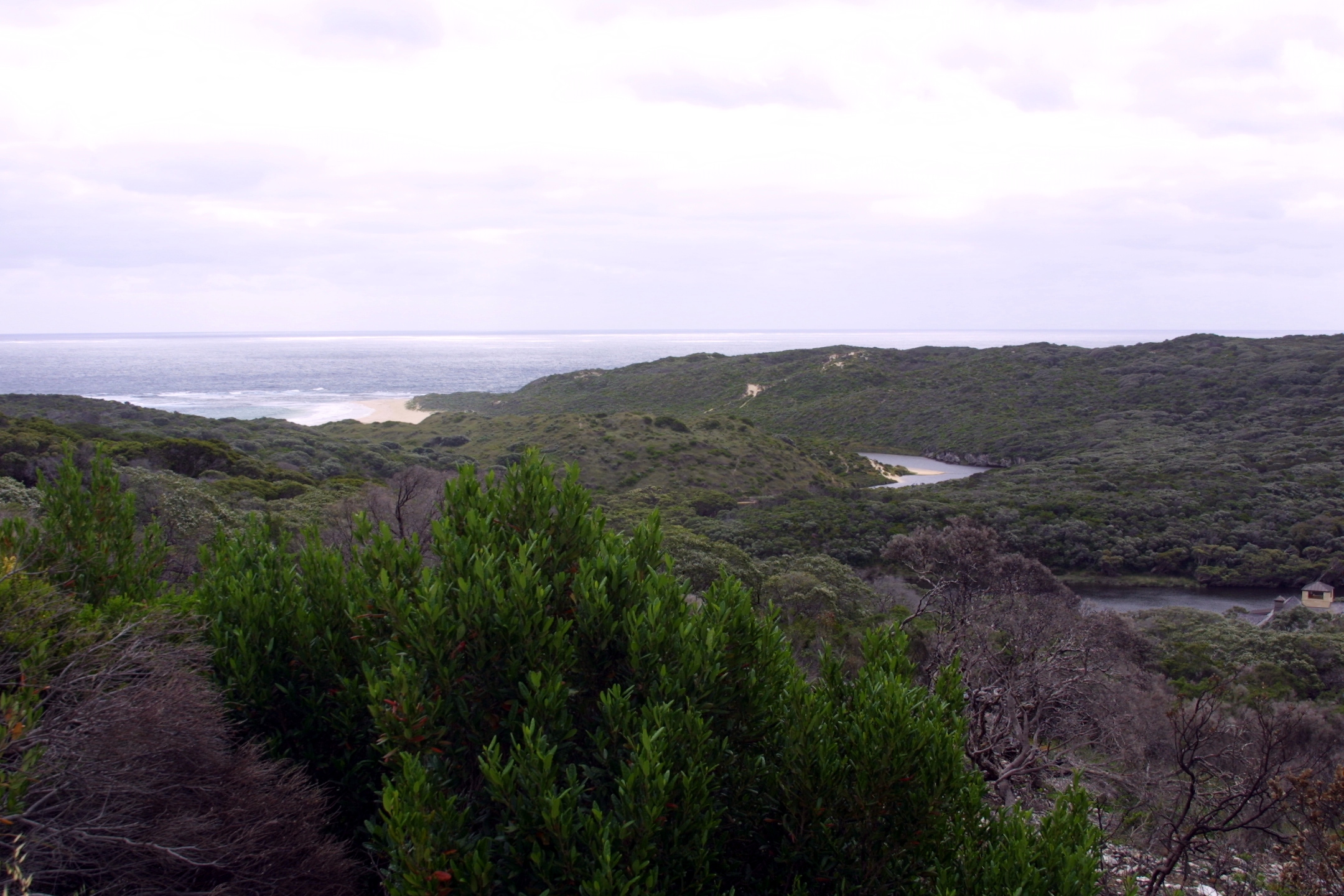 margaretRiver01.jpg