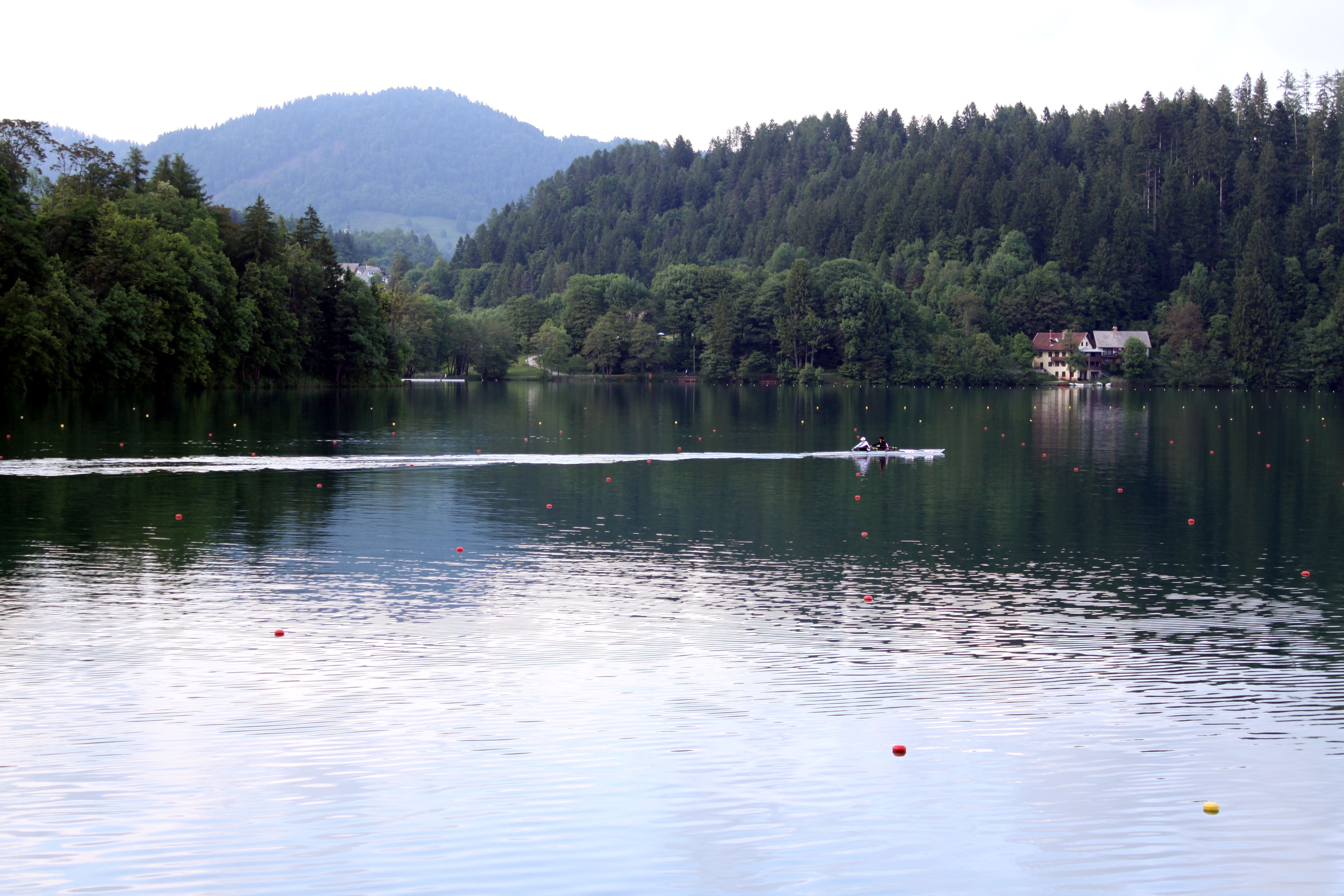 bled07.JPG
