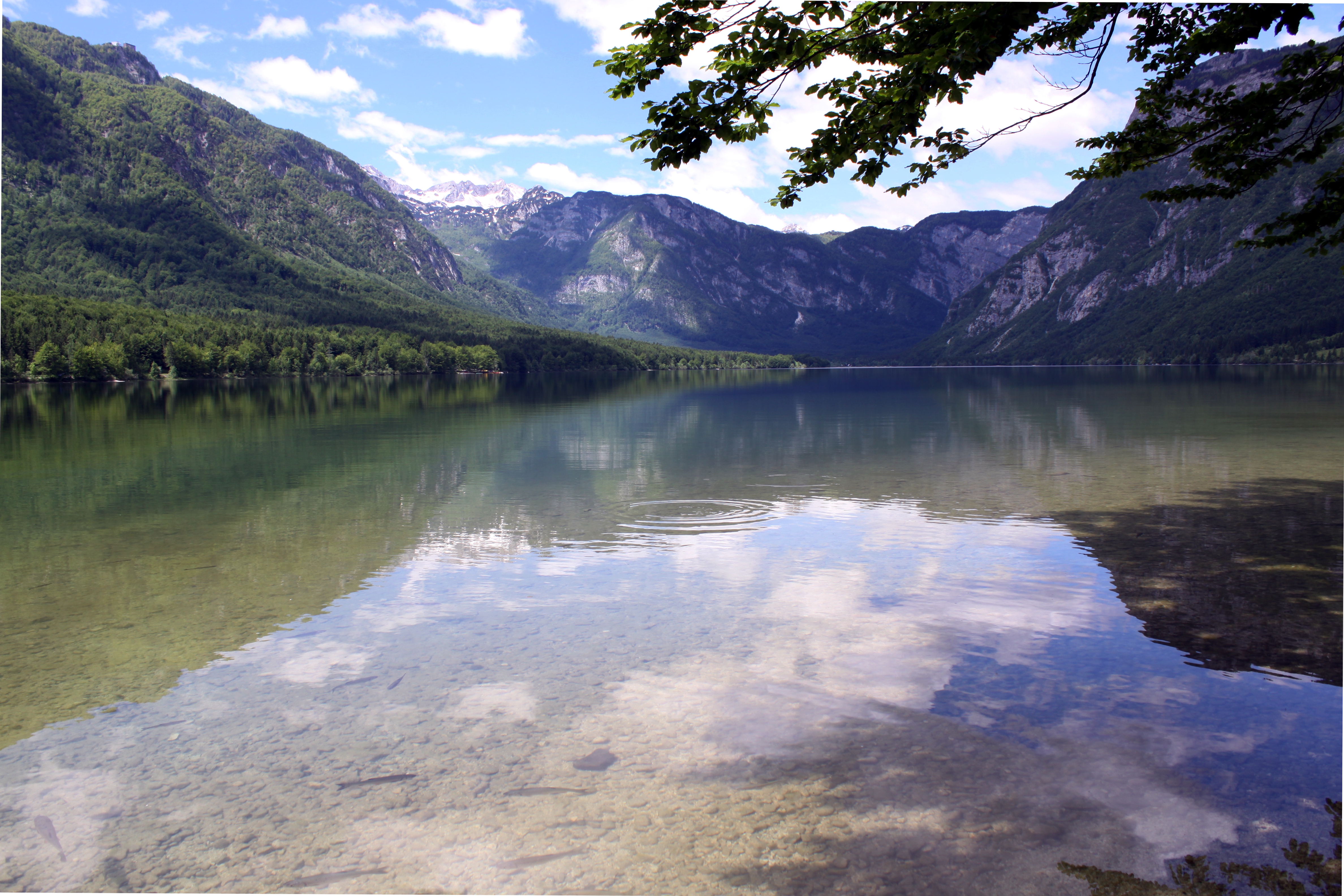 bohinje01.JPG