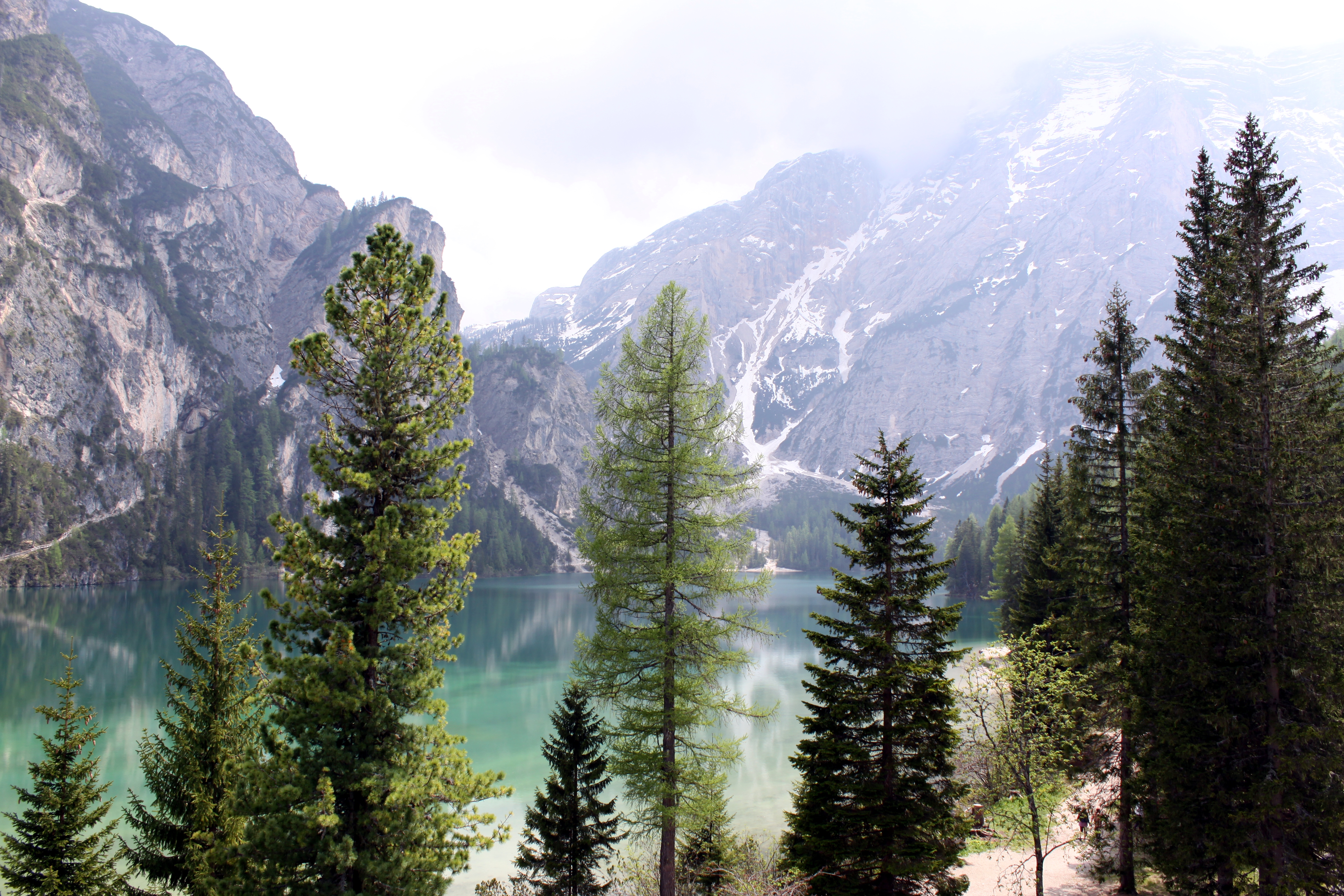 lagodibraies01.JPG