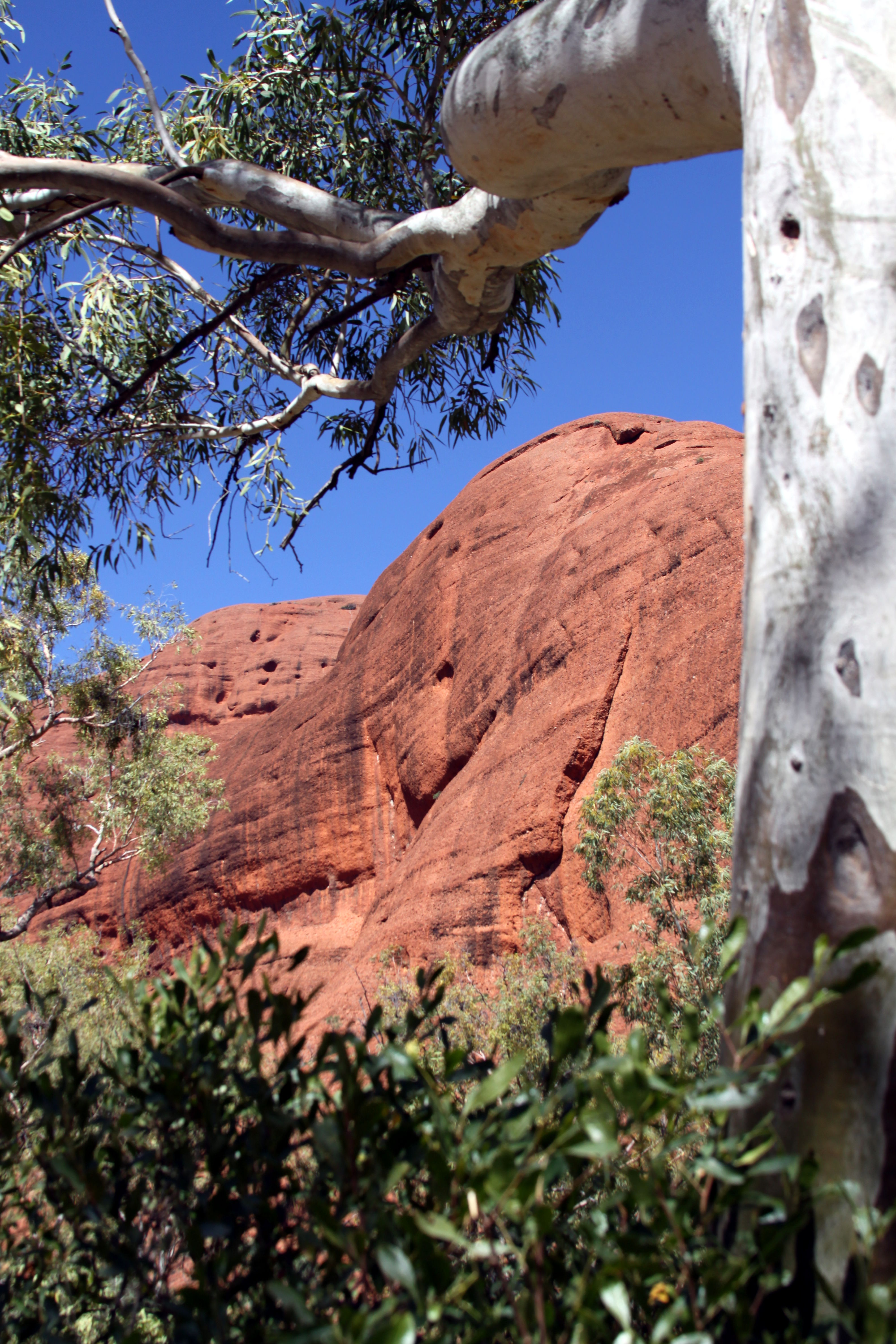 kata_tjuta01.JPG