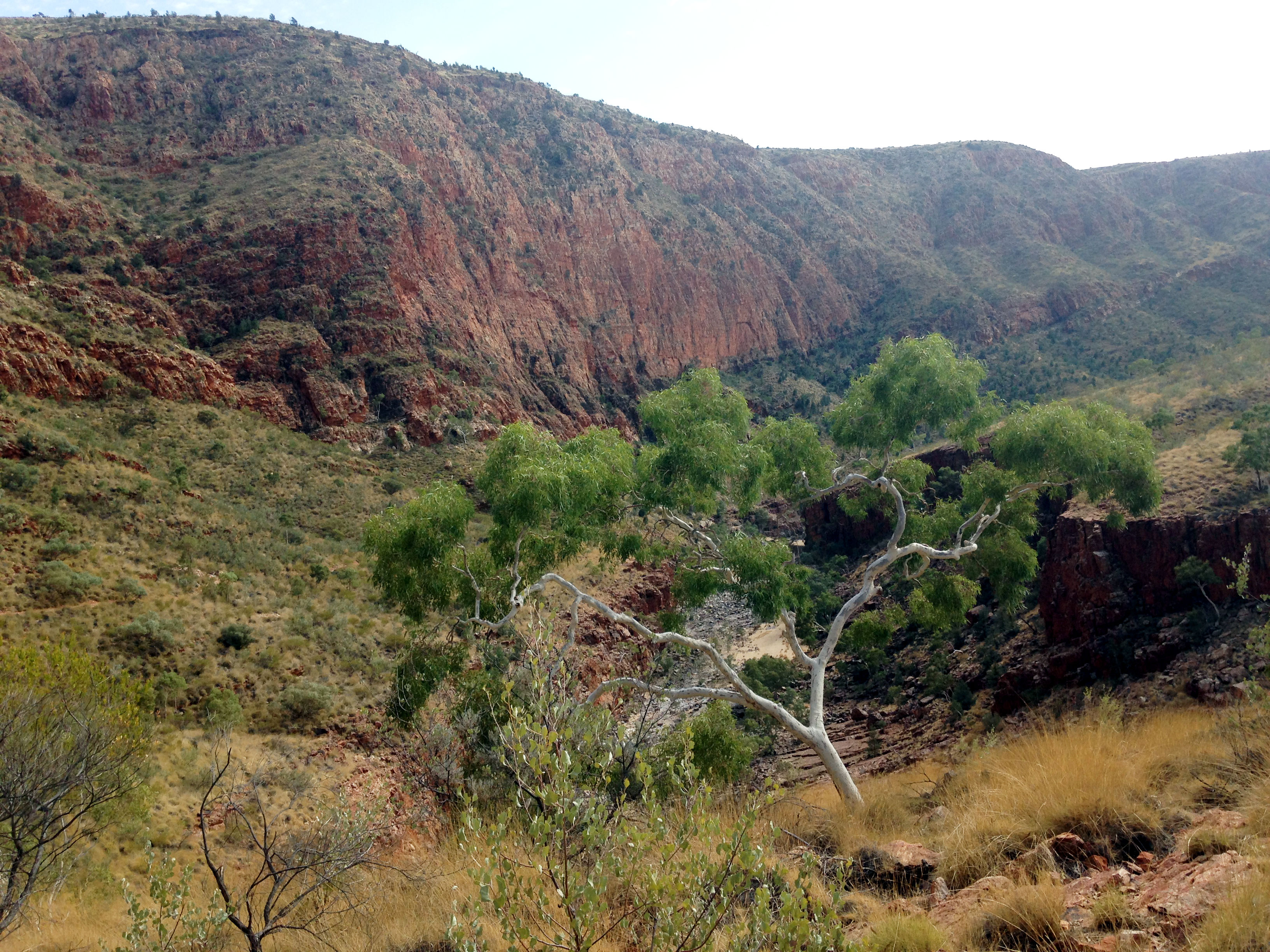 ormiston_gorge09.JPG