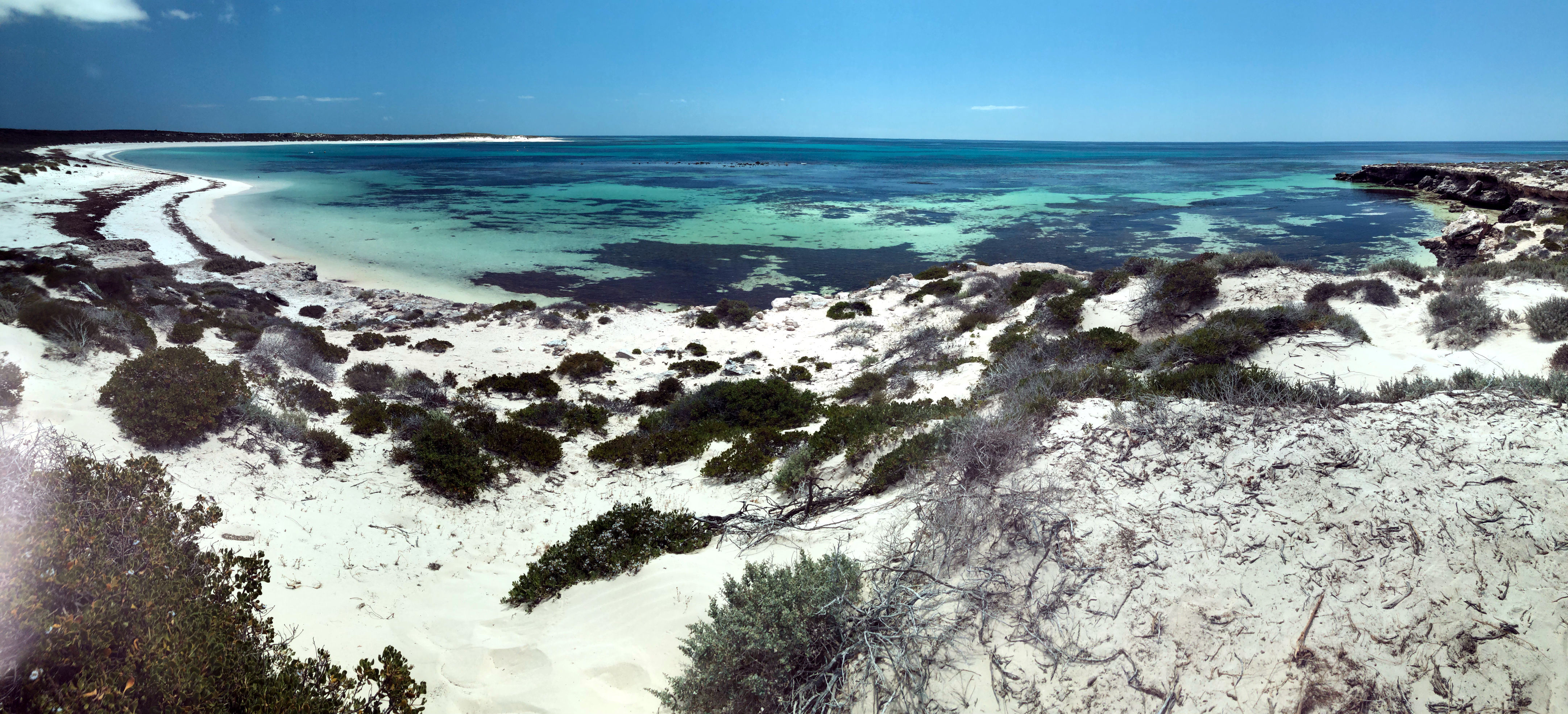 09_abrolhos_12.JPG
