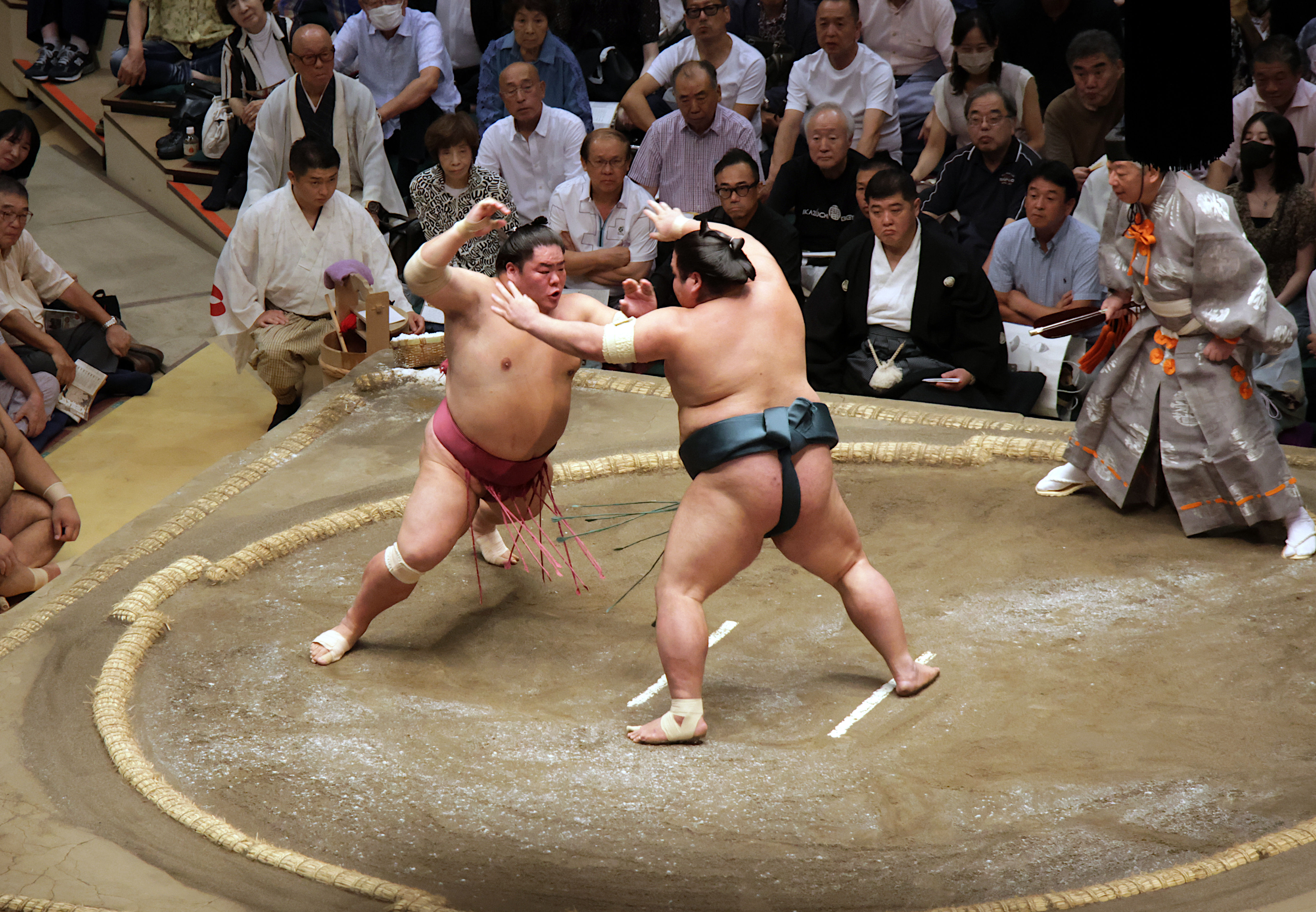 sumo_21.JPG