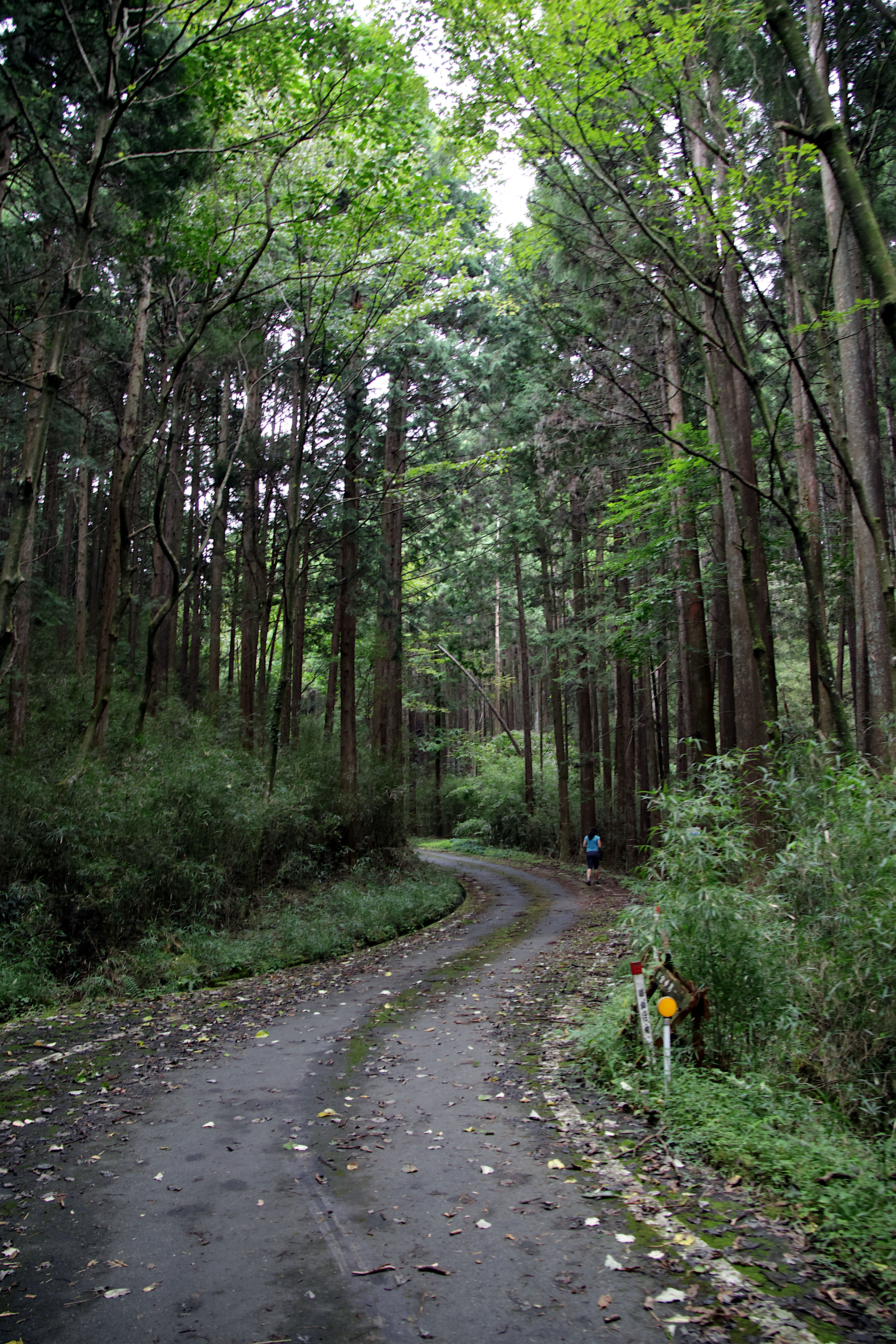 gotemba_44.JPG